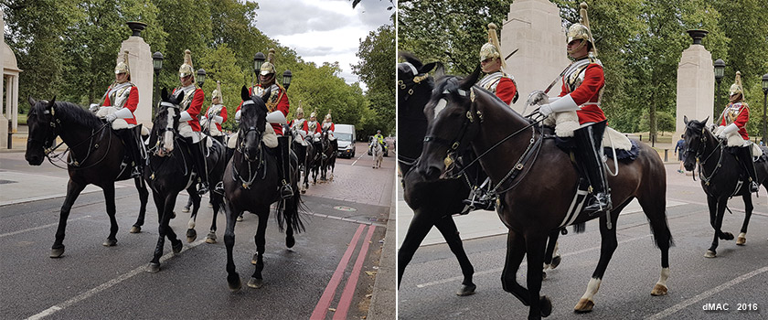 6 Horse Guards